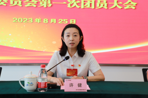 6许书记发言.jpg